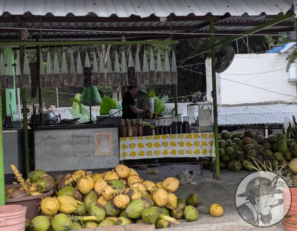 Stall selling coconuts on the old Camino Real from Veracruz to Perote