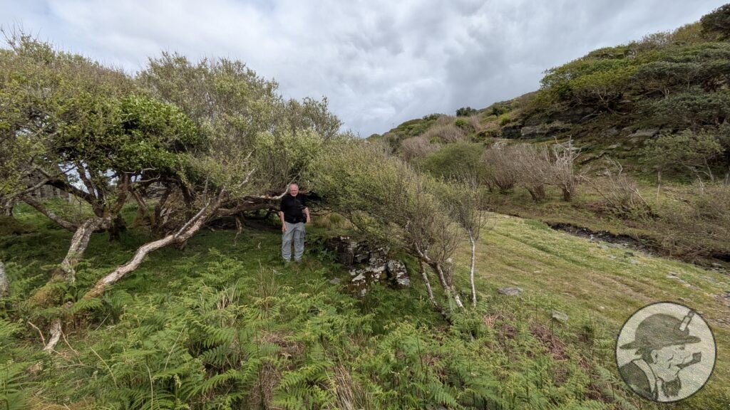 Probable flatrod stanchion, Killleen Mine